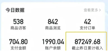 2026新手也能操作的带货玩法,用这个方法零门槛,轻松月入10000+江海课源资源网-全网优质资源免费下载-实用教程素材分享平课源网